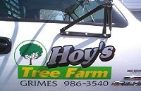 Hoy's Tree Farm, Grimes, Iowa