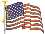 USA Flag